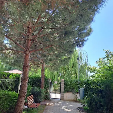 Breeze Slantschew brjag