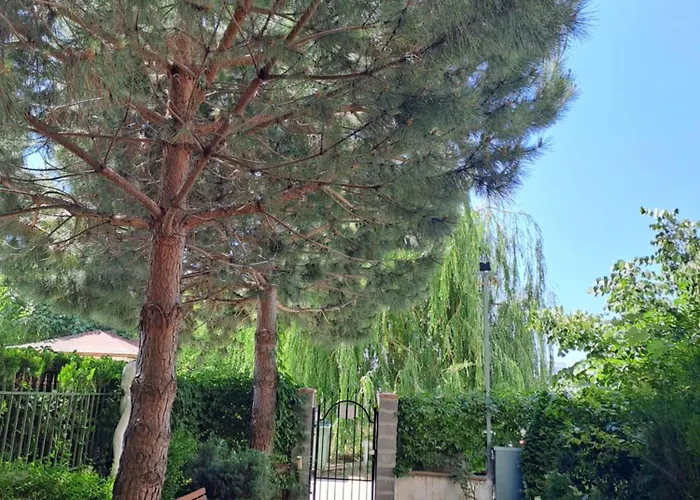 Breeze Slăntjev Brjag